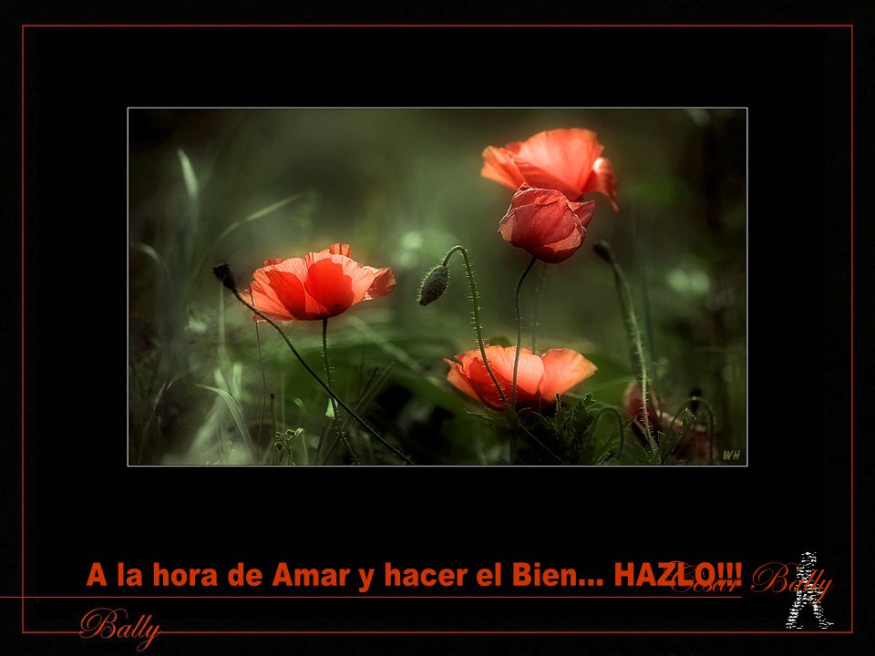 A la hora de Amar y hacer el Bien... HAZLO!!!
