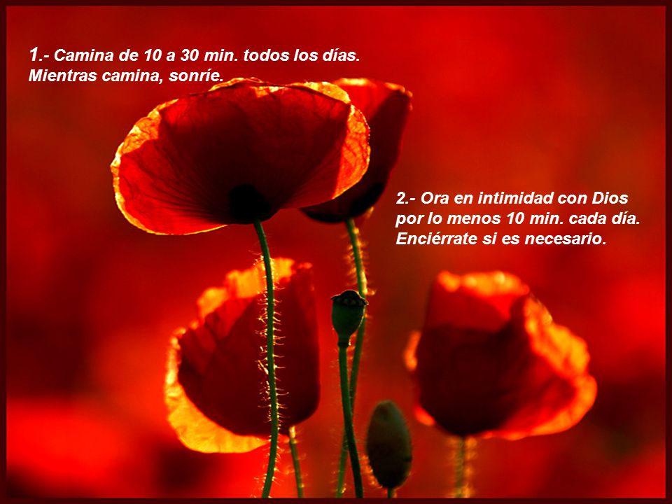 1.- Camina de 10 a 30 min. todos los días.