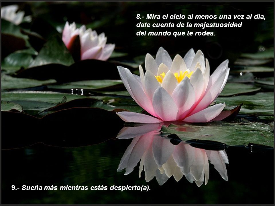 8.- Mira el cielo al menos una vez al día,