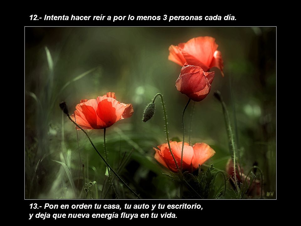 12.- Intenta hacer reír a por lo menos 3 personas cada día.