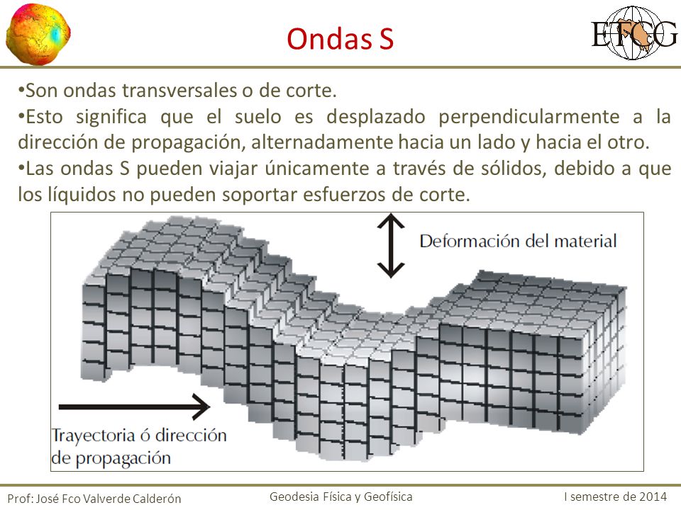 Ondas S Son ondas transversales o de corte.
