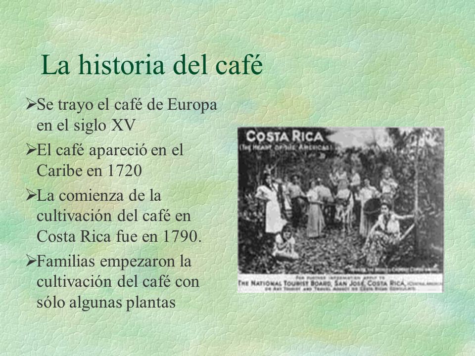 La historia del café Se trayo el café de Europa en el siglo XV