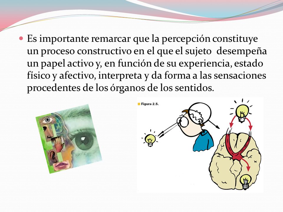 Es importante remarcar que la percepción constituye un proceso constructivo en el que el sujeto desempeña un papel activo y, en función de su experiencia, estado físico y afectivo, interpreta y da forma a las sensaciones procedentes de los órganos de los sentidos.