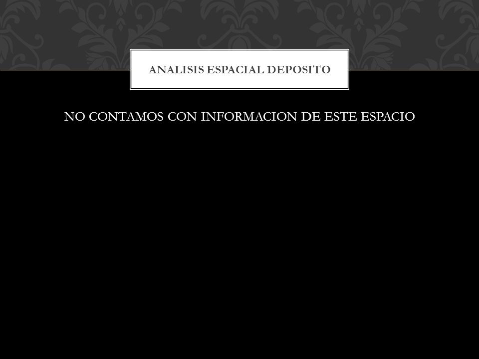 ANALISIS ESPACIAL DEPOSITO