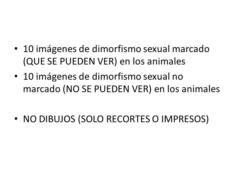 10 imágenes de dimorfismo sexual marcado (QUE SE PUEDEN VER) en los animales