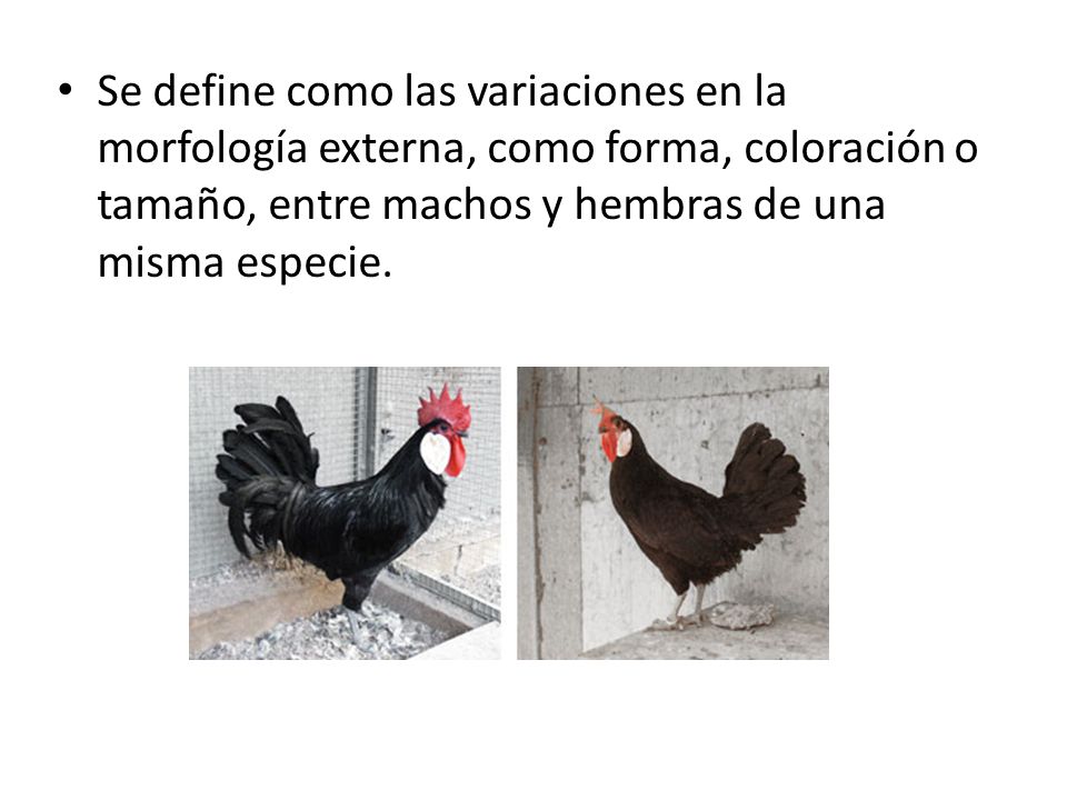 Se define como las variaciones en la morfología externa, como forma, coloración o tamaño, entre machos y hembras de una misma especie.