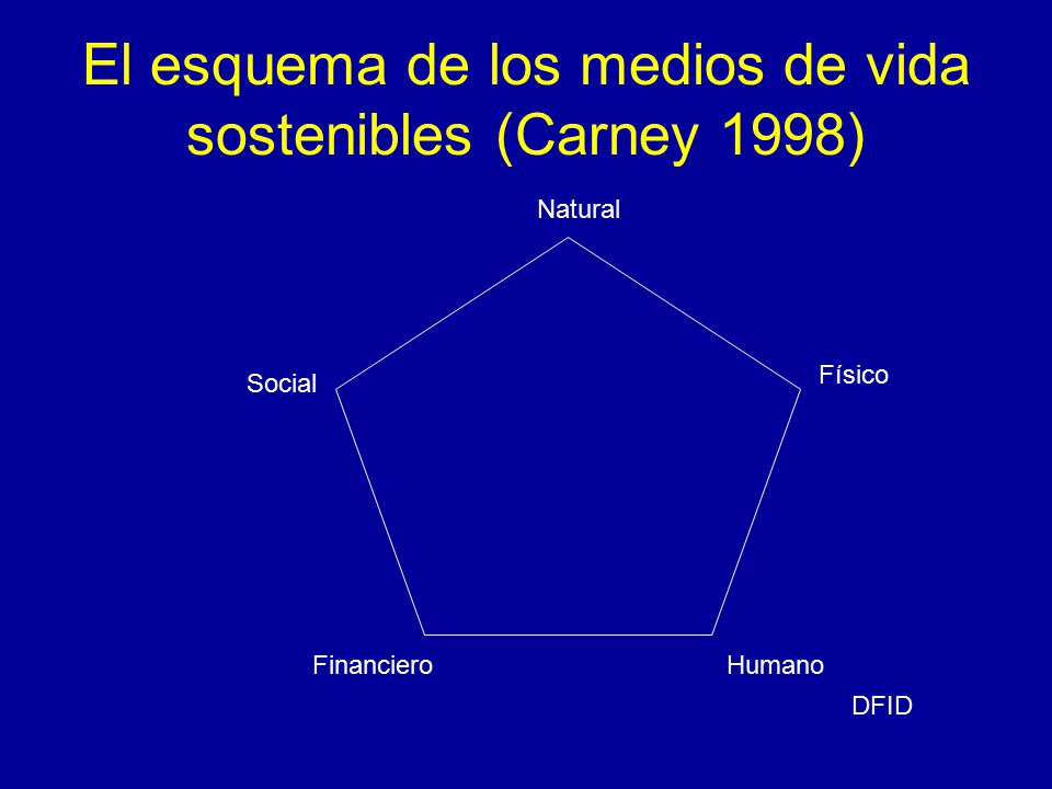 El esquema de los medios de vida sostenibles (Carney 1998)