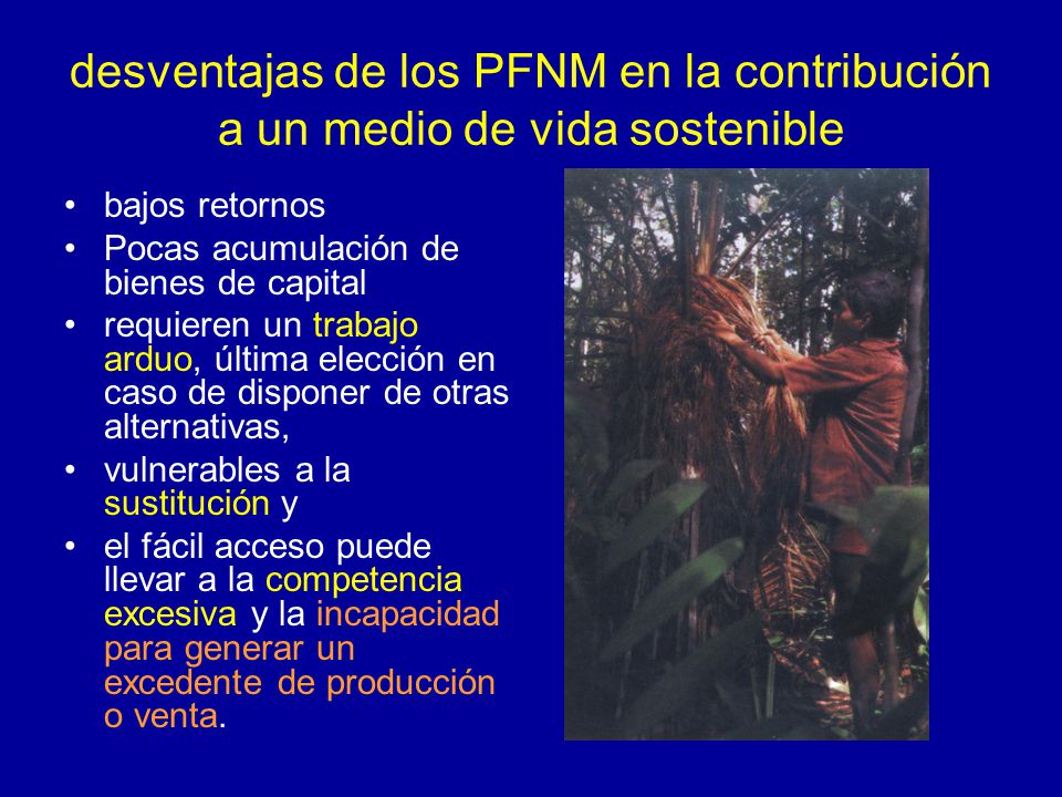 desventajas de los PFNM en la contribución a un medio de vida sostenible