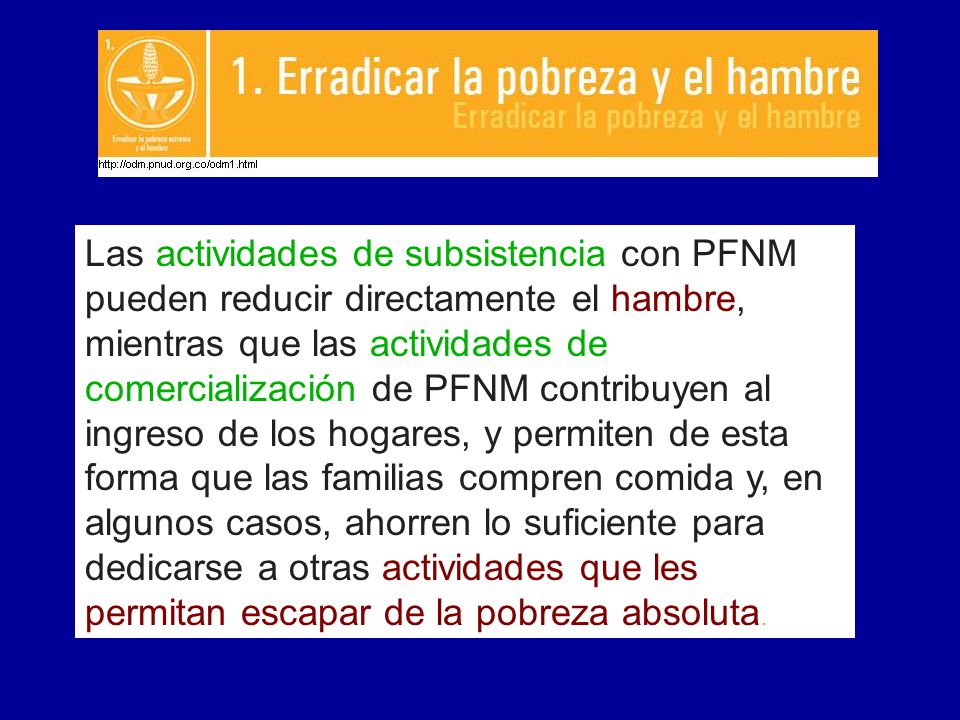 Las actividades de subsistencia con PFNM pueden reducir directamente el hambre, mientras que las actividades de comercialización de PFNM contribuyen al ingreso de los hogares, y permiten de esta forma que las familias compren comida y, en algunos casos, ahorren lo suficiente para dedicarse a otras actividades que les permitan escapar de la pobreza absoluta.