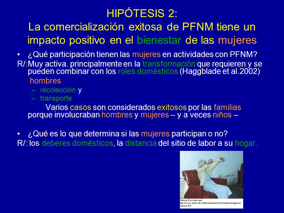 HIPÓTESIS 2: La comercialización exitosa de PFNM tiene un impacto positivo en el bienestar de las mujeres