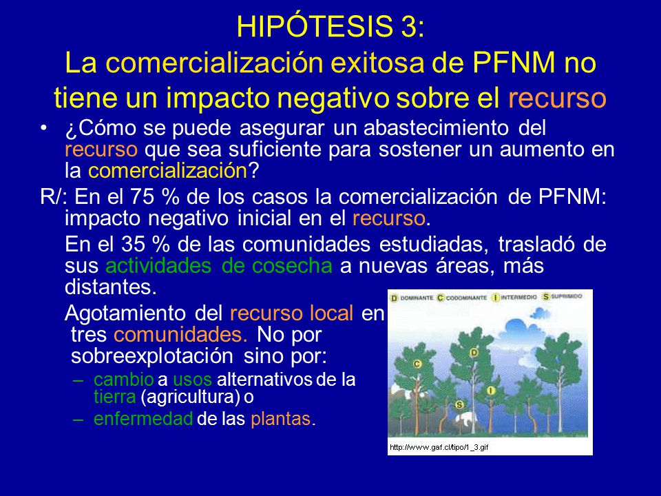 HIPÓTESIS 3: La comercialización exitosa de PFNM no tiene un impacto negativo sobre el recurso