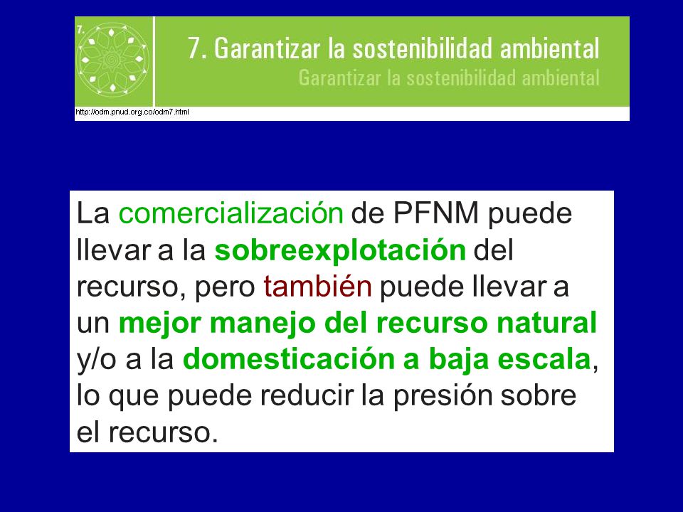 La comercialización de PFNM puede llevar a la sobreexplotación del recurso, pero también puede llevar a un mejor manejo del recurso natural y/o a la domesticación a baja escala, lo que puede reducir la presión sobre el recurso.