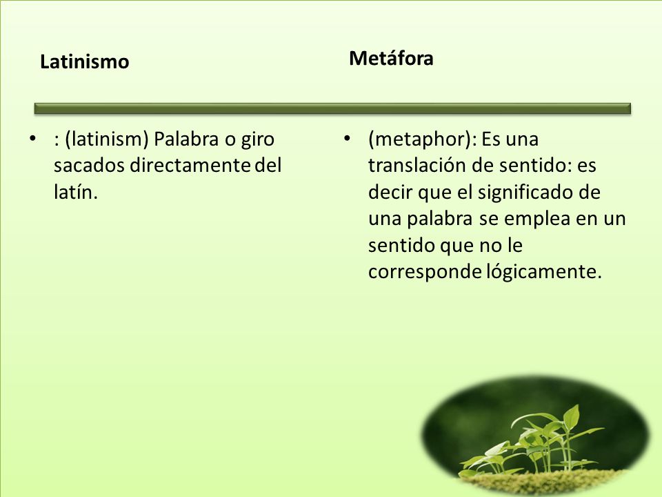 Latinismo Metáfora. : (latinism) Palabra o giro sacados directamente del latín.