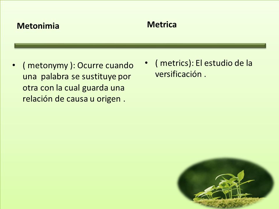 Metonimia Metrica. ( metrics): El estudio de la versificación .