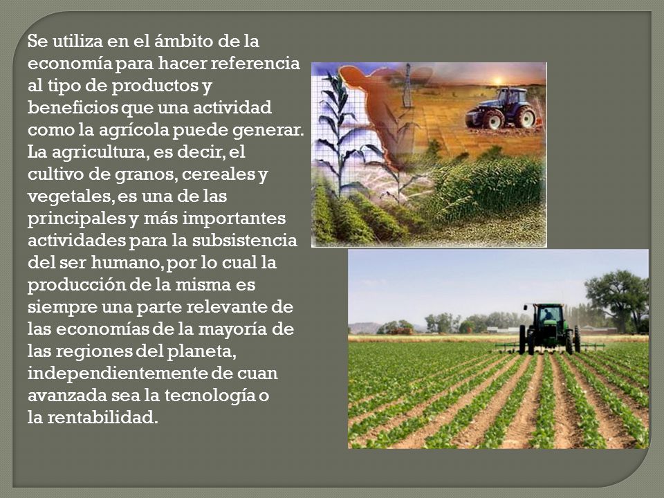 Se utiliza en el ámbito de la economía para hacer referencia al tipo de productos y beneficios que una actividad como la agrícola puede generar.