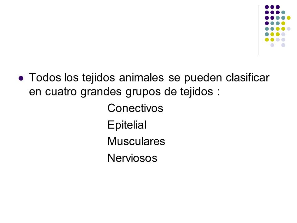Todos los tejidos animales se pueden clasificar en cuatro grandes grupos de tejidos :