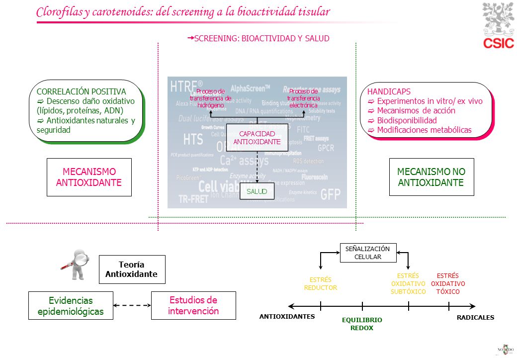 Clorofilas y carotenoides: del screening a la bioactividad tisular
