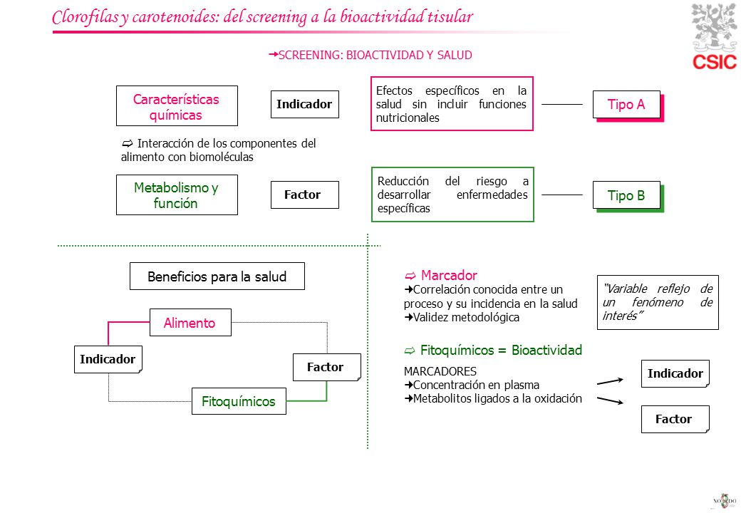 Clorofilas y carotenoides: del screening a la bioactividad tisular