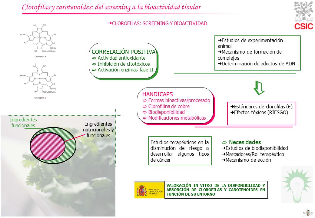  Clorofilas y carotenoides: del screening a la bioactividad tisular