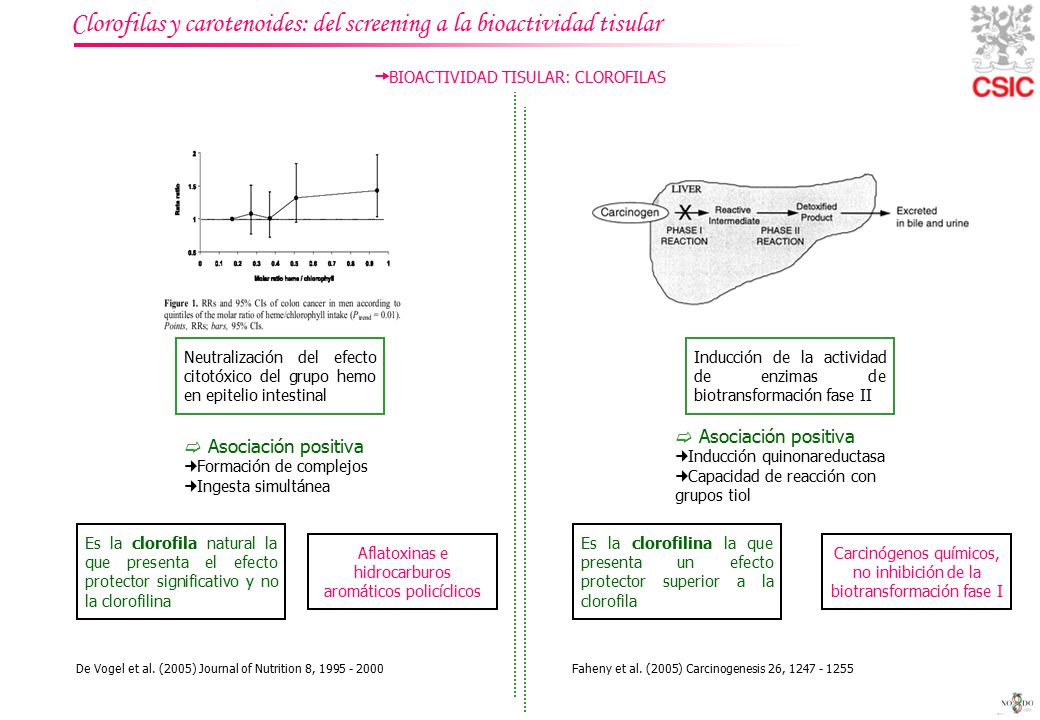 Clorofilas y carotenoides: del screening a la bioactividad tisular