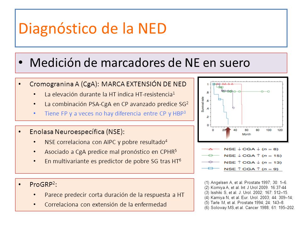 Diagnóstico de la NED Medición de marcadores de NE en suero