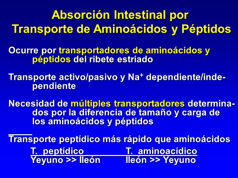 Absorción Intestinal por Transporte de Aminoácidos y Péptidos
