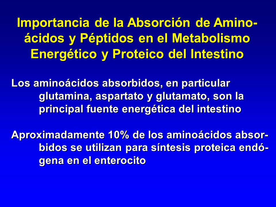Importancia de la Absorción de Amino- ácidos y Péptidos en el Metabolismo Energético y Proteico del Intestino