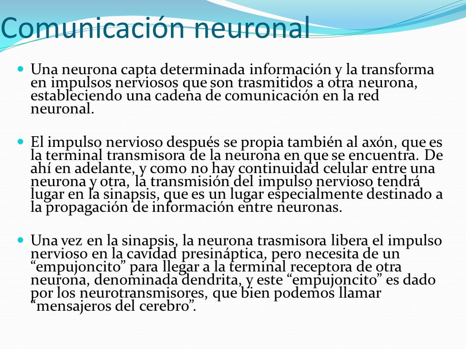 Comunicación neuronal