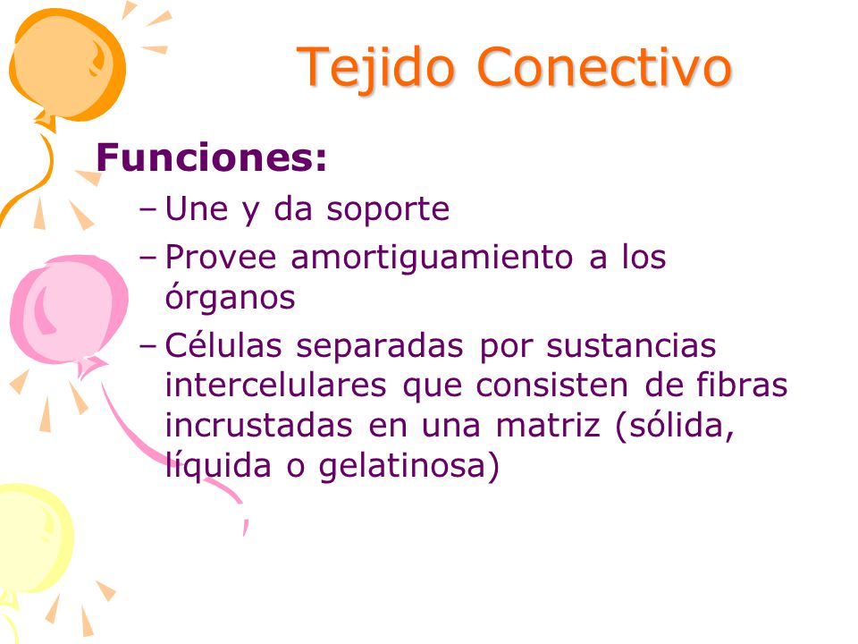 Tejido Conectivo Funciones: Une y da soporte
