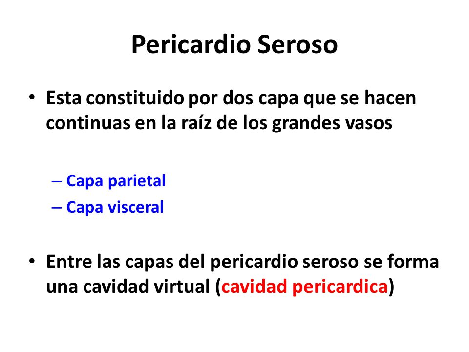Pericardio Seroso Esta constituido por dos capa que se hacen continuas en la raíz de los grandes vasos.