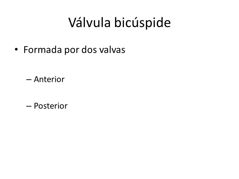 Válvula bicúspide Formada por dos valvas Anterior Posterior
