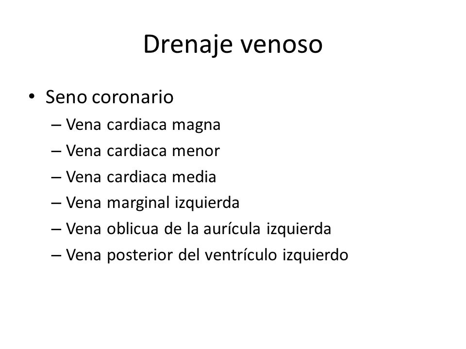 Drenaje venoso Seno coronario Vena cardiaca magna Vena cardiaca menor