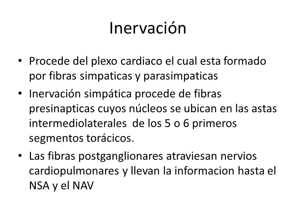 Inervación Procede del plexo cardiaco el cual esta formado por fibras simpaticas y parasimpaticas.