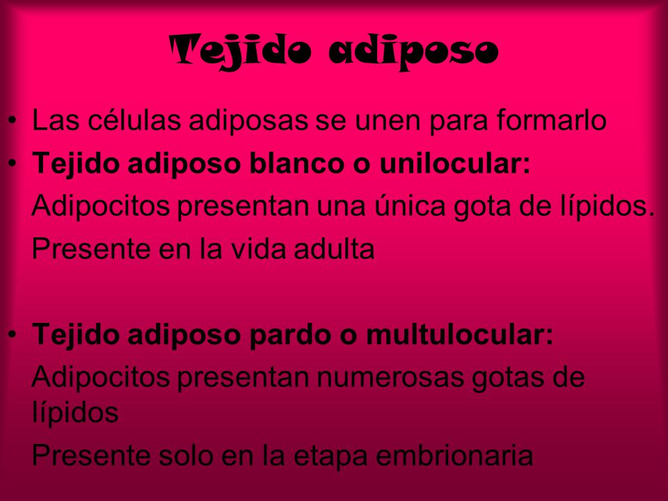 Tejido adiposo Las células adiposas se unen para formarlo
