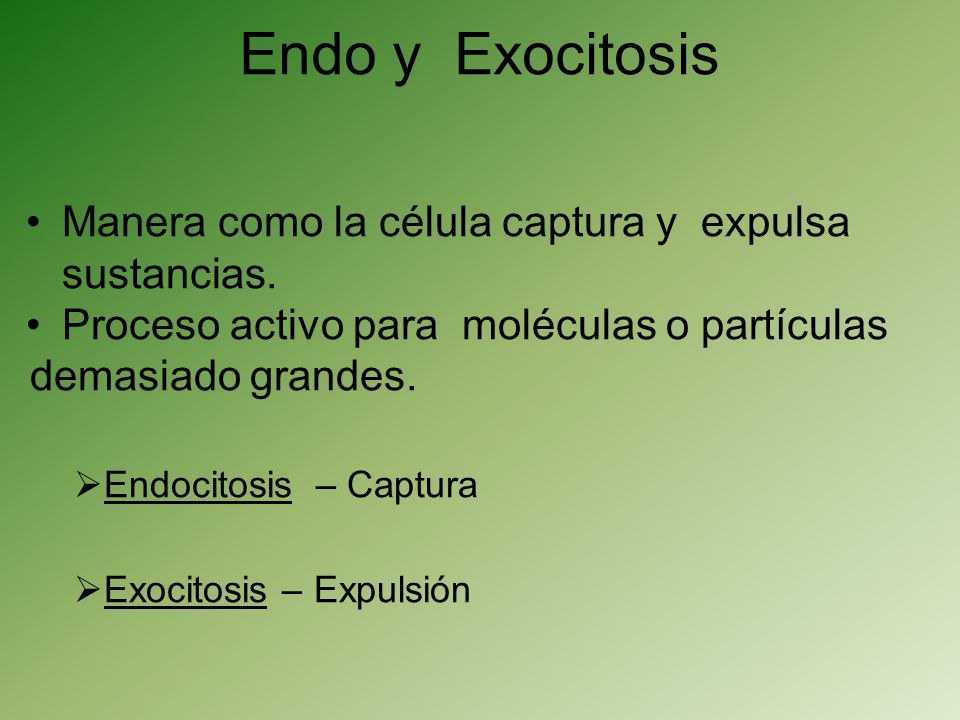 Endo y Exocitosis Manera como la célula captura y expulsa sustancias.