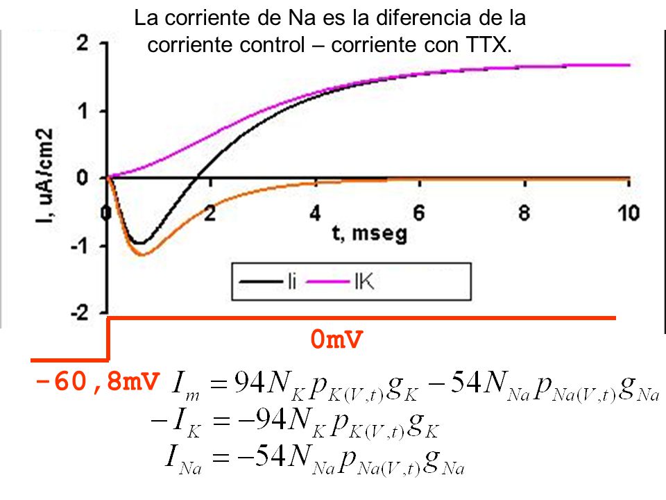 La corriente de Na es la diferencia de la corriente control – corriente con TTX.