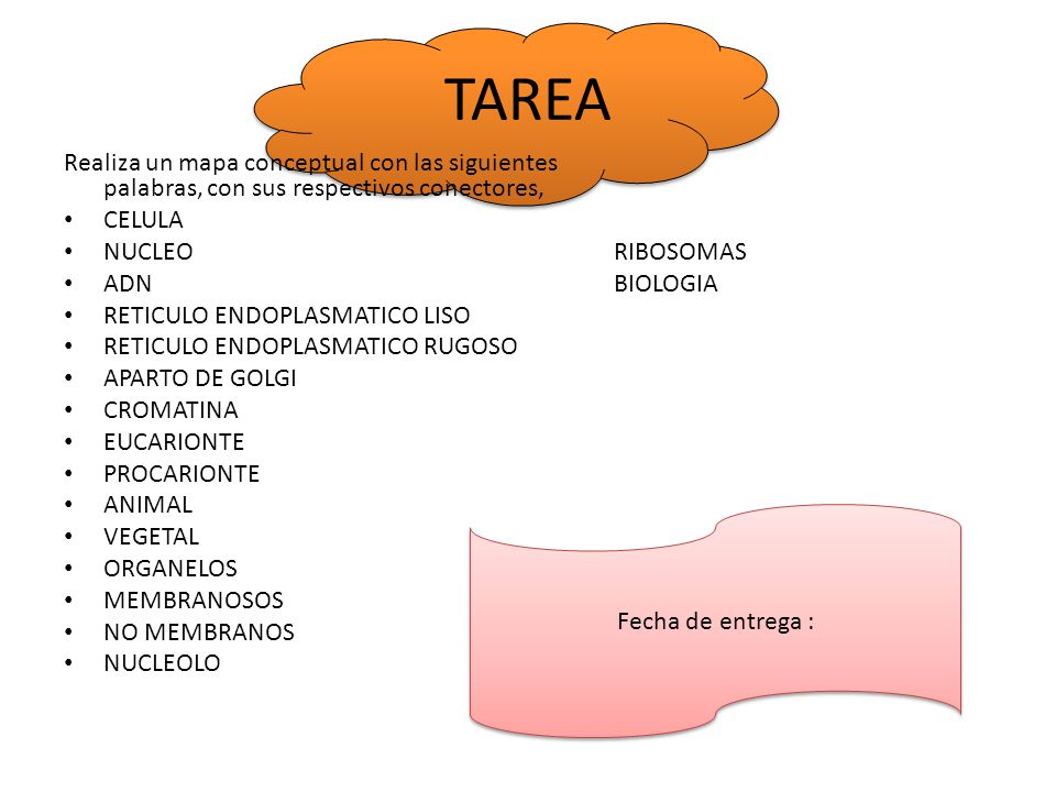 TAREA Realiza un mapa conceptual con las siguientes palabras, con sus respectivos conectores, CELULA.