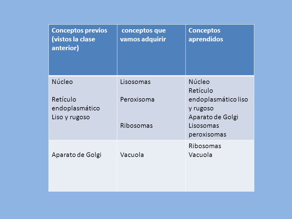 Conceptos previos (vistos la clase anterior) conceptos que vamos adquirir. Conceptos aprendidos. Núcleo.