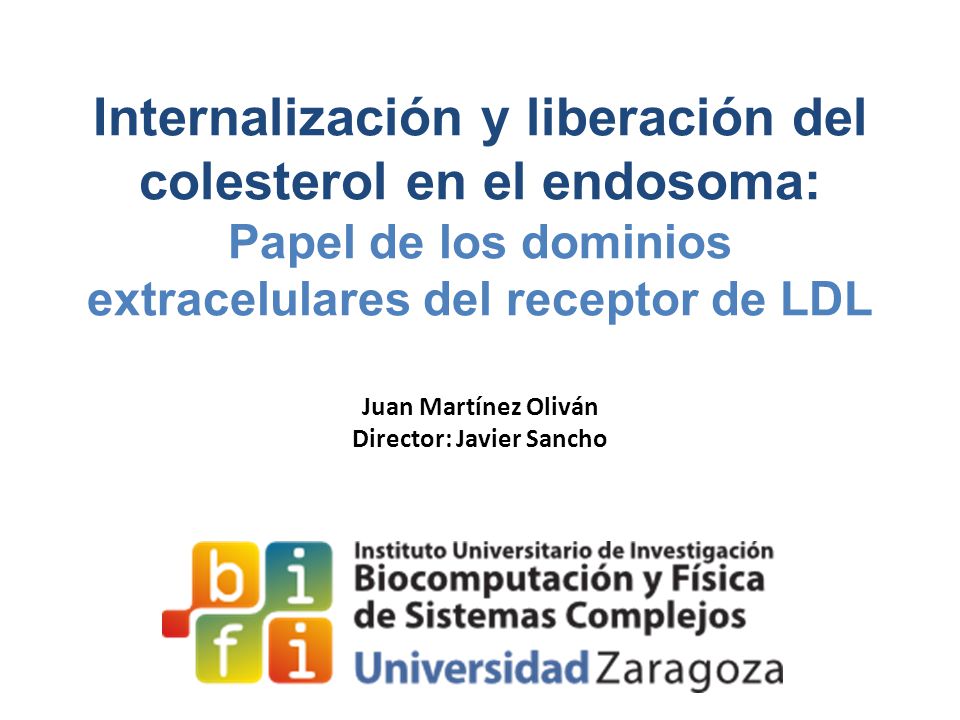 Internalización y liberación del colesterol en el endosoma: Papel de los dominios extracelulares del receptor de LDL Juan Martínez Oliván Director: Javier Sancho