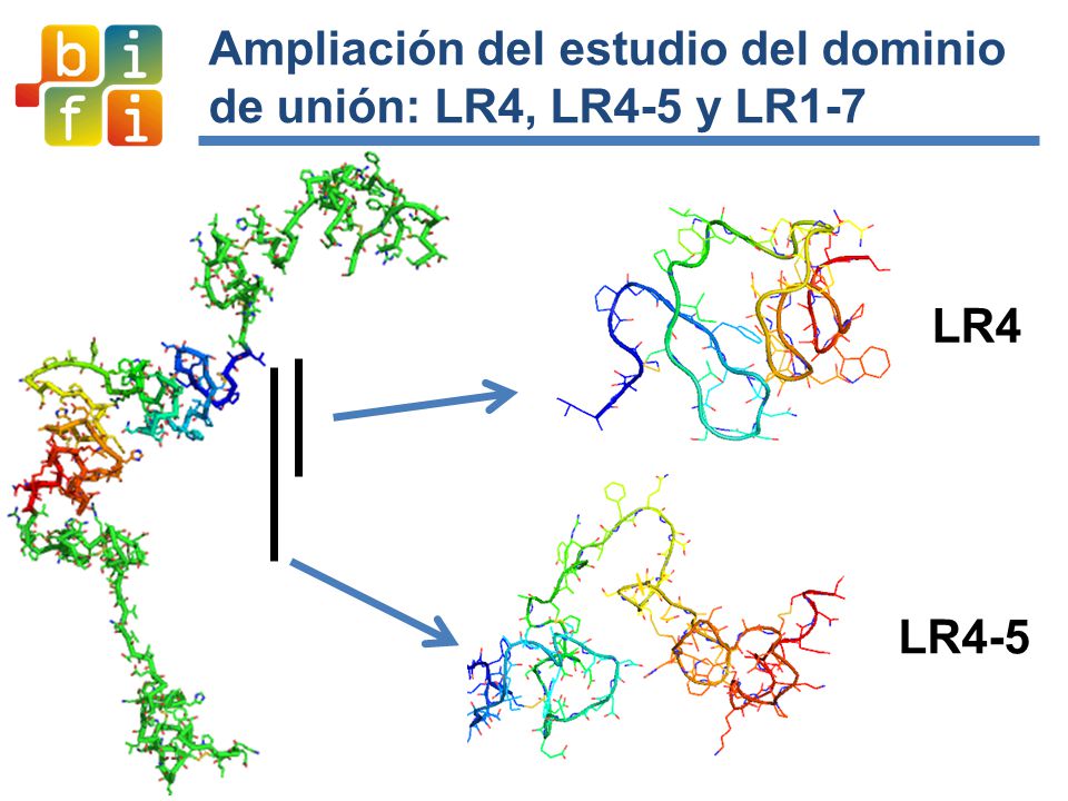 Ampliación del estudio del dominio de unión: LR4, LR4-5 y LR1-7