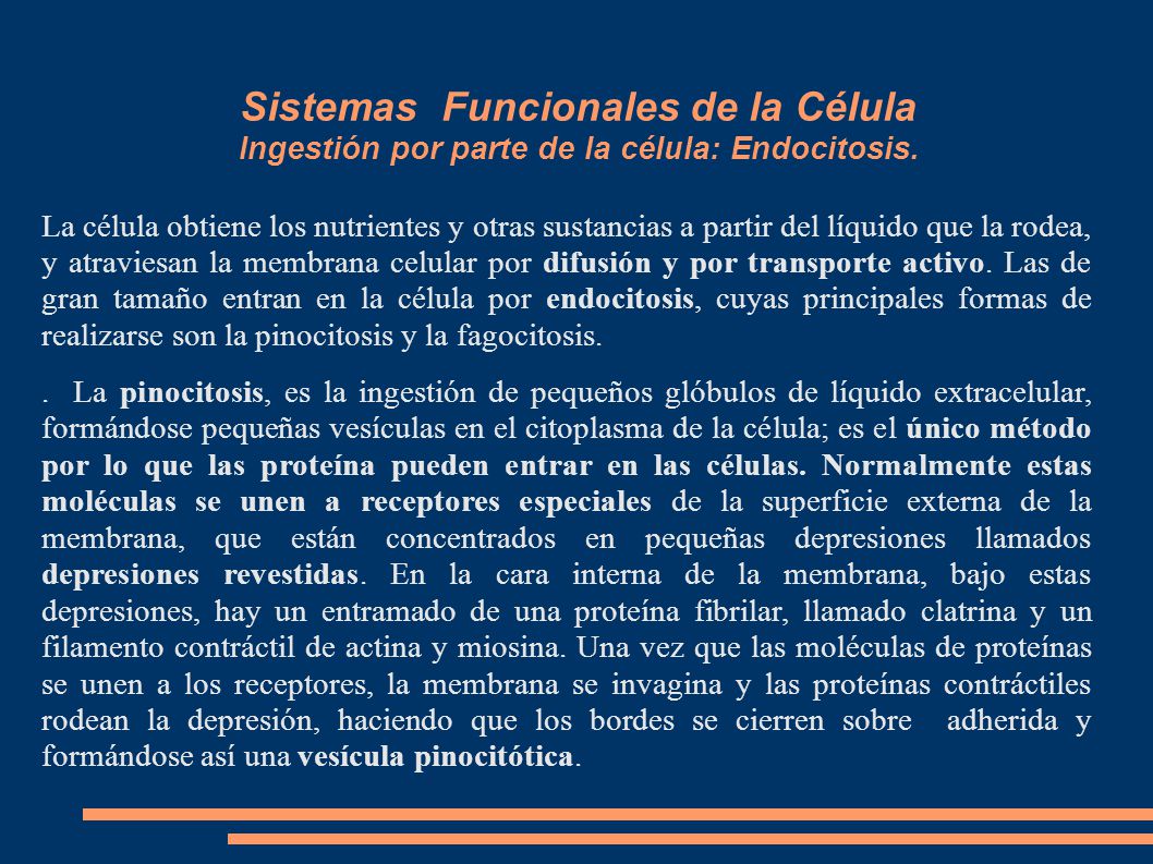 Sistemas Funcionales de la Célula Ingestión por parte de la célula: Endocitosis.