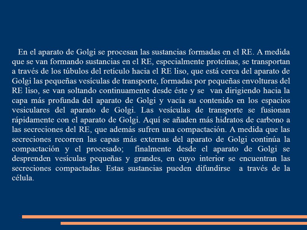 En el aparato de Golgi se procesan las sustancias formadas en el RE