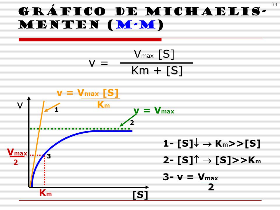 v = Gráfico de MIchaelis-menten (M-m) Vmax [S] Km + [S] v v = Vmax [S]