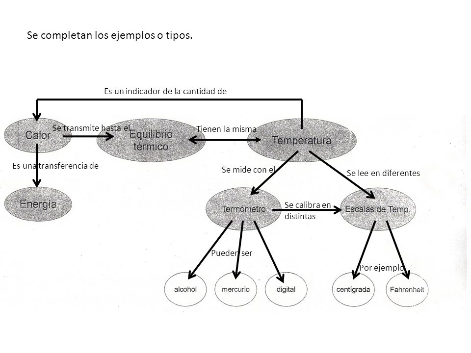 Se completan los ejemplos o tipos.