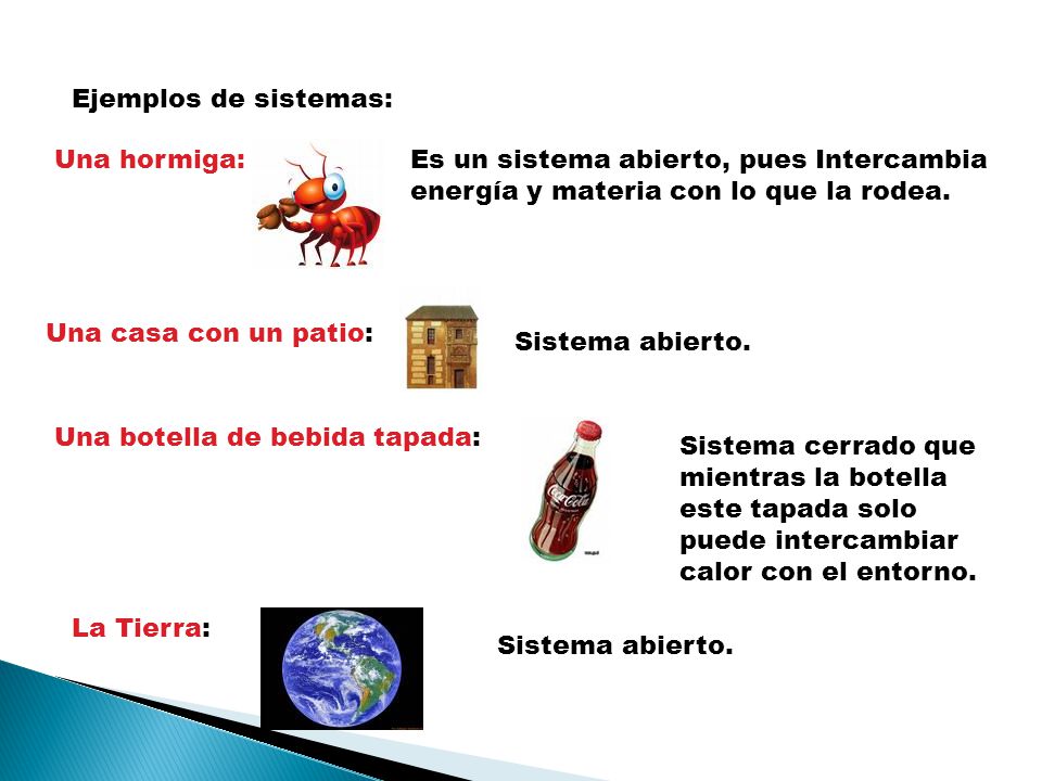 Ejemplos de sistemas: Una hormiga: Es un sistema abierto, pues Intercambia energía y materia con lo que la rodea.