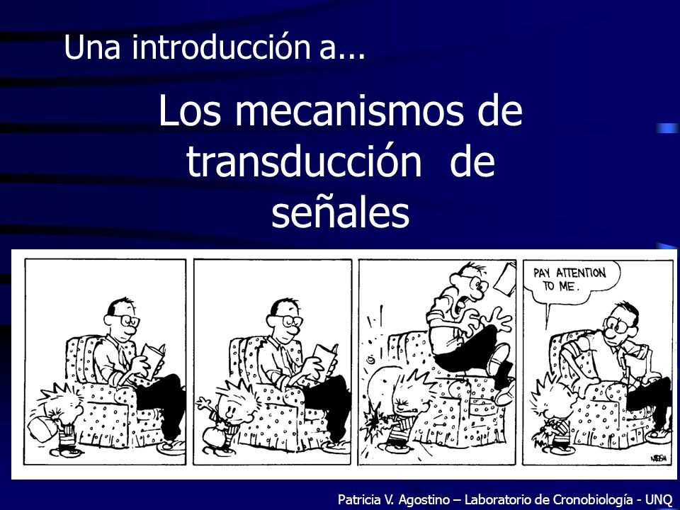 Patricia V. Agostino – Laboratorio de Cronobiología - UNQ