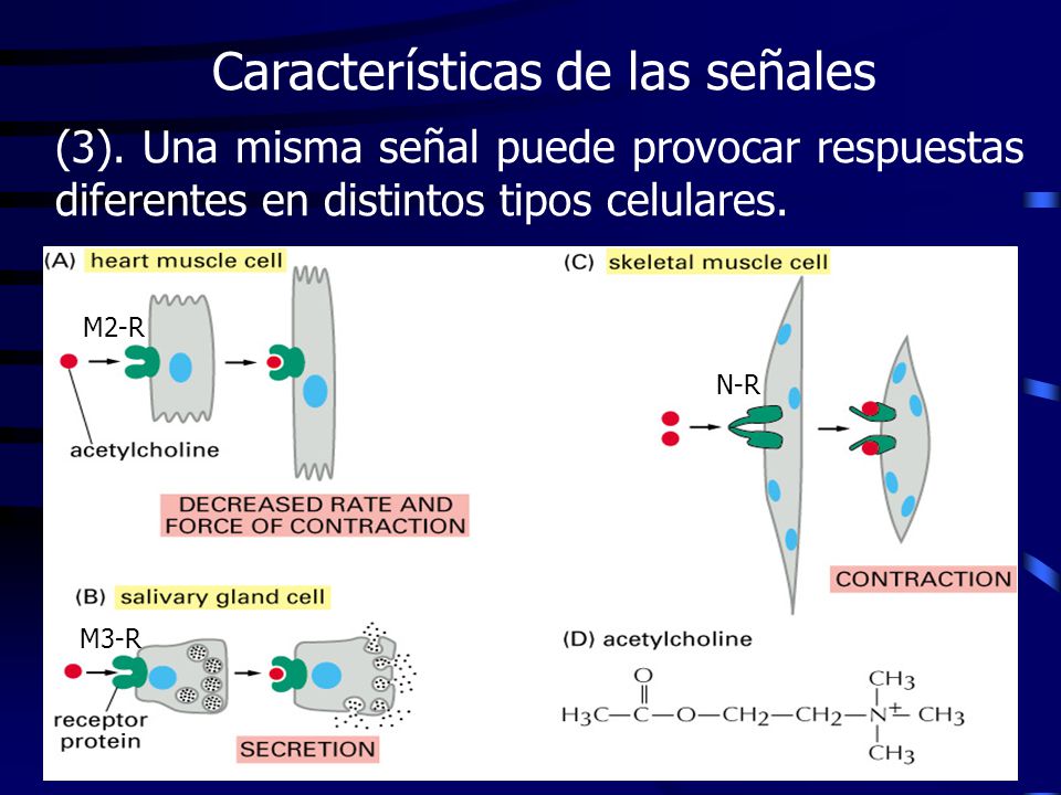 Características de las señales