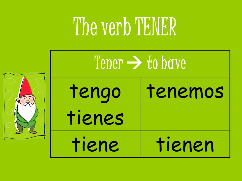 The verb TENER tengo tenemos tienes tiene tienen Tener  to have
