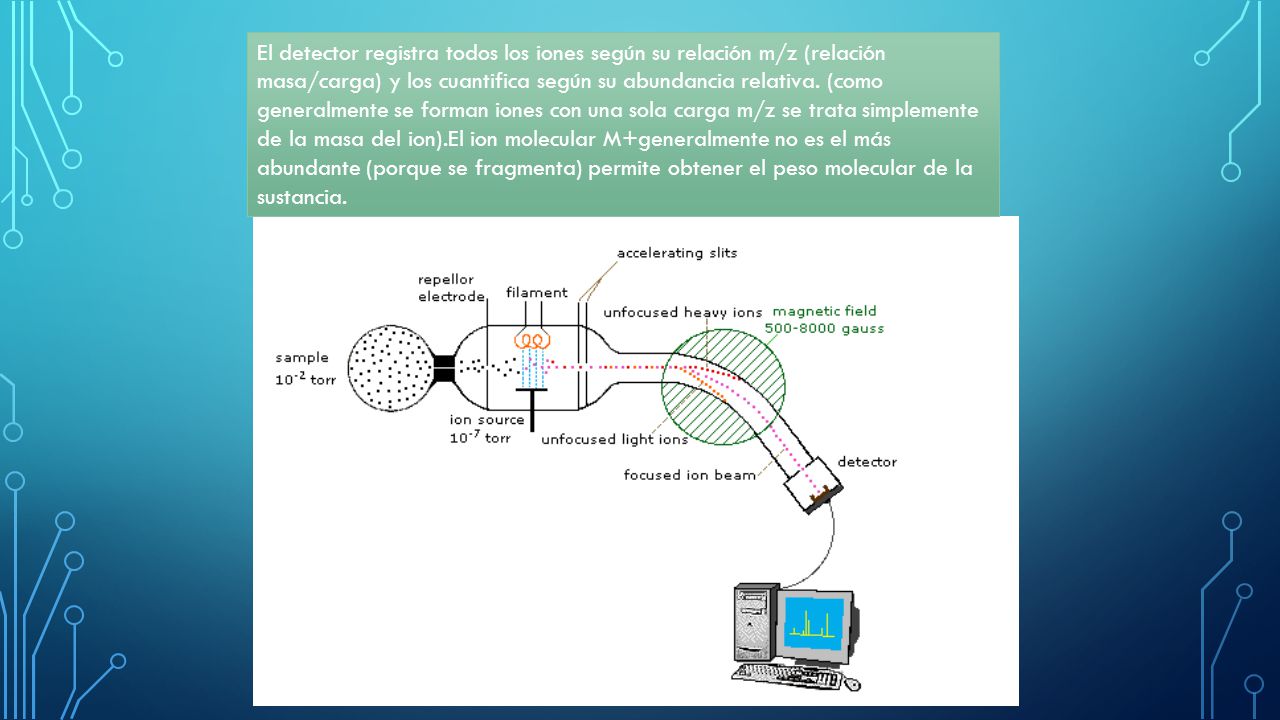 El detector registra todos los iones según su relación m/z (relación masa/carga) y los cuantifica según su abundancia relativa.