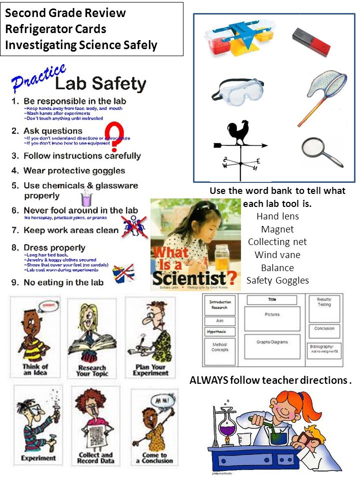 Use the word bank to tell what each lab tool is.